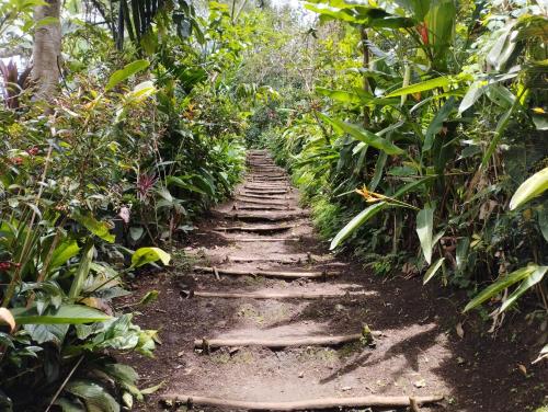 Kert, Kelly's Mountain Honey Homestay in Goroka