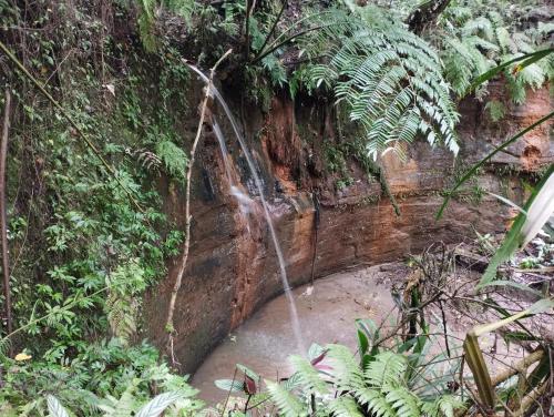Kert, Kelly's Mountain Honey Homestay in Goroka