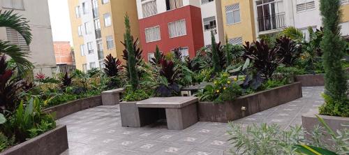 Apartamento completo con dos habitaciones moderno y bien ubicado en Armenia Quindío - image 3