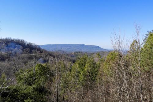 50 Mile View, Sevierville (foto 5)