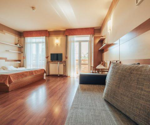 1 king bed, 1 sofa bed