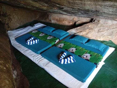 . Sinharaja Forest Cave Camp-Deniyaya