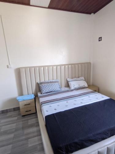 Jalas Plaza Apartment in 基納茲