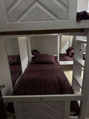 JBR Shared Hostel Premium - image 12