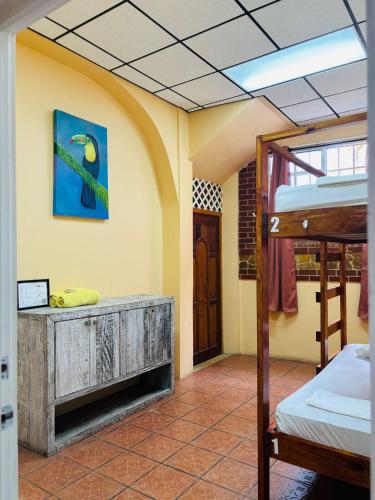 Yellow Belly Backpackers in San Ignacio