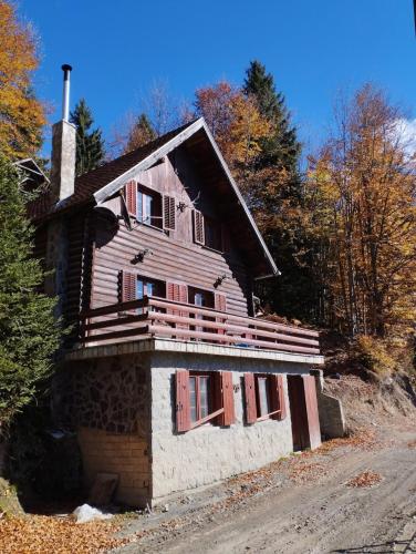 Mountain home Borut