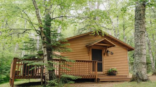Hotelli välisilme, Quintessential Northwoods - Traditional Cabin - Parking - Fast Wi-Fi CB03 in Babbitt
