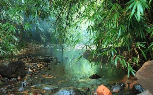 jagriti hotel 3144 bazar sangatrashan opp silver shine hotel sang trashan marg ratan lal market kase