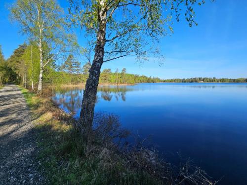 Holiday Home Gemütliches Cottage mit Whirlpool by Interhome (Holiday Home Gemutliches Cottage mit Whirlpool by Interhome) in Torsholma