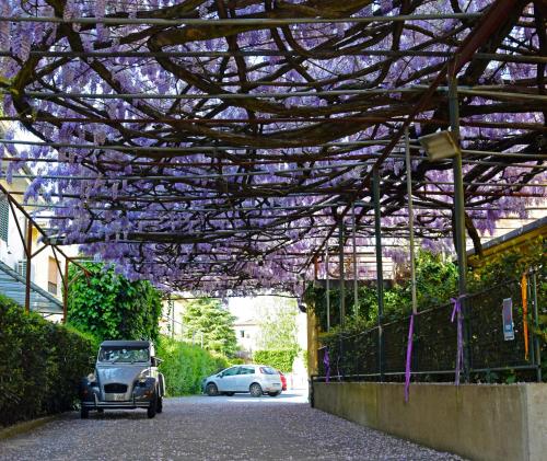 Hotel Stipino - image 8