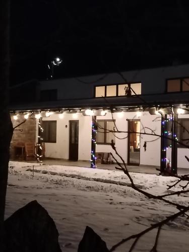 Apartman "Galerija" in Dimitrovgrad