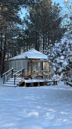 Peaceful Off-Grid Yurt Farm Stay with Modern Comforts - Optional Farm Breakfast – khách sạn tại Ridgeway (SC)