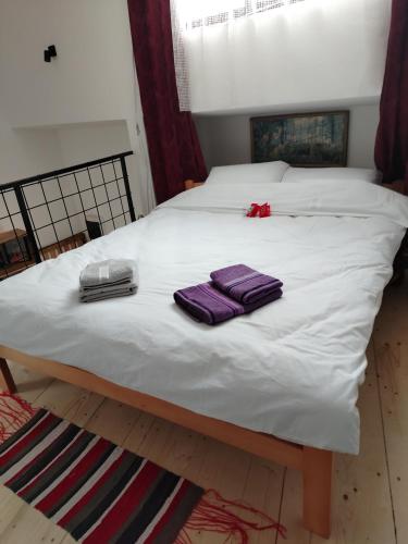 Apartman "Galerija" in Dimitrovgrad