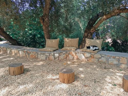 Surrounding environment, Kaminakia Adults Only Apartments in Erisos