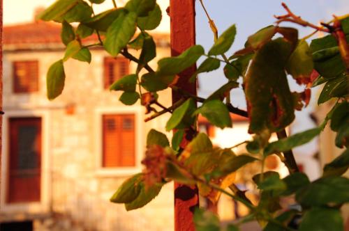  Nebojsega b&b, Unterkunft in Santa Croce Mare