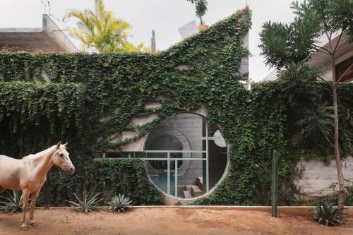 Casa TO - Adults Only 2