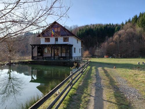 Cabana Țibleș Bichigiu (Cabana Tibles Bichigiu) in Zagra