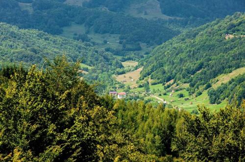 Cabana Țibleș Bichigiu (Cabana Tibles Bichigiu) in Zagra