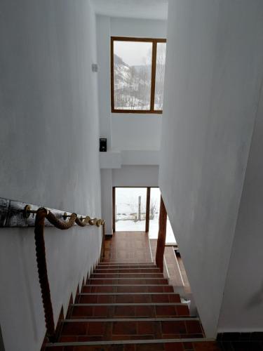 Cabana Țibleș Bichigiu (Cabana Tibles Bichigiu) in Zagra