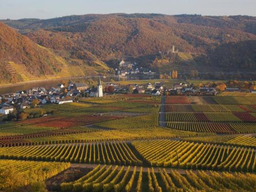 Weingut im Moselkrampen, Ellenz-Poltersdorf (photo 3)
