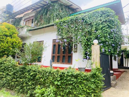 Waveside Villa - Matara