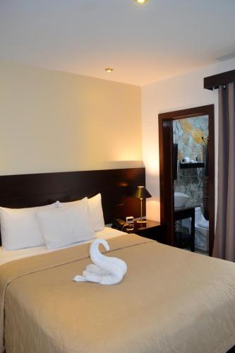 Hotel Villa Florencia Zona Rosa in San Salvadoras