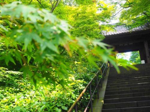 Guest room Kamakura Nagomi -Hydrangea-