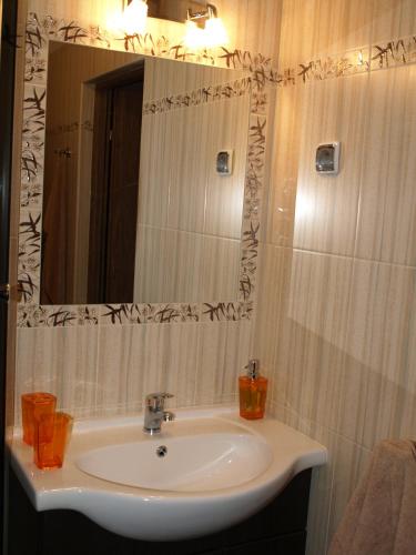 Apartament Cristal, Szklarska Poręba (zdjęcie 9)
