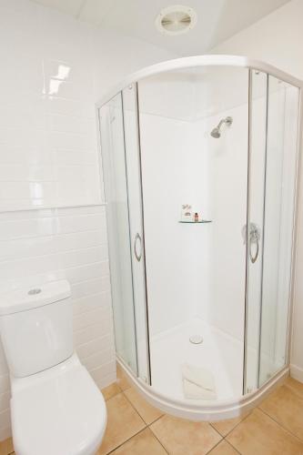 Clearwater Motor Lodge - image 4