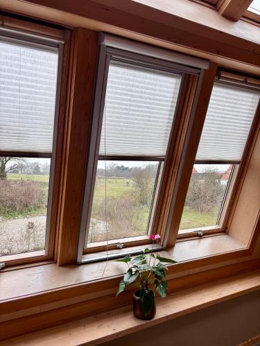 View, Bed & Coffee Skilleplaatsje in Texel