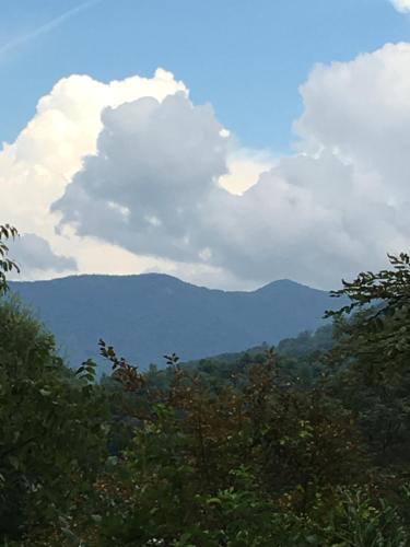 Serenity Views Bungalow - Close to City and Parkway! in Weaverville, USA