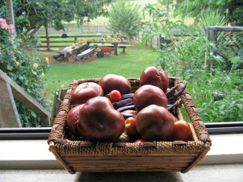 Kilátás, Miranda Orchard Cottage in Miranda