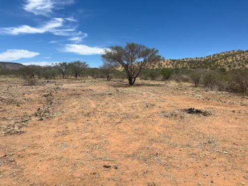 Ombango Himba Village and Camping in Kamanjab