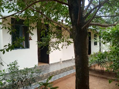 La woods guest house in Tororo