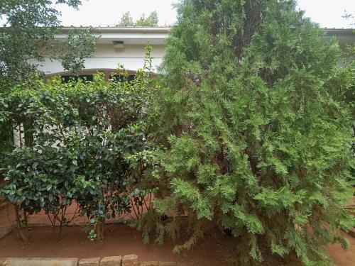 La woods guest house in Tororo