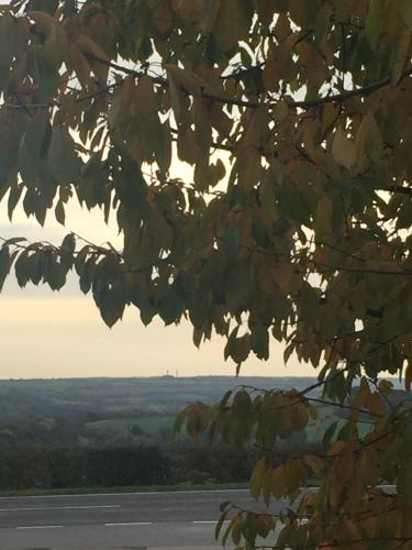 Apkārtne, Redwings Lodge Rutland in Morcott