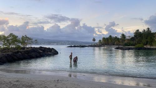 Пляж, L'Aparté des hibiscus (L'Aparte des hibiscus) in Ле Труа-Иле