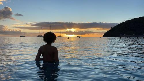 Вид, L'Aparté des hibiscus (L'Aparte des hibiscus) in Ле Труа-Иле