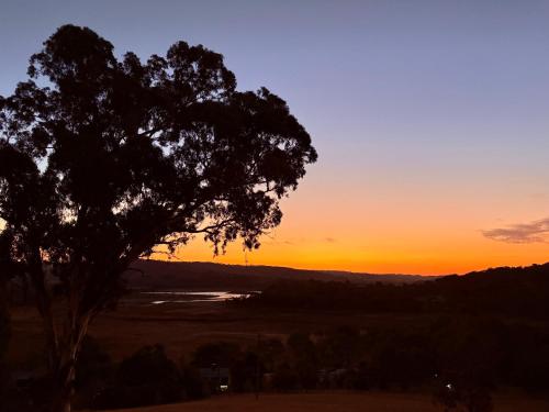 Someplace Else in Bonnie Doon
