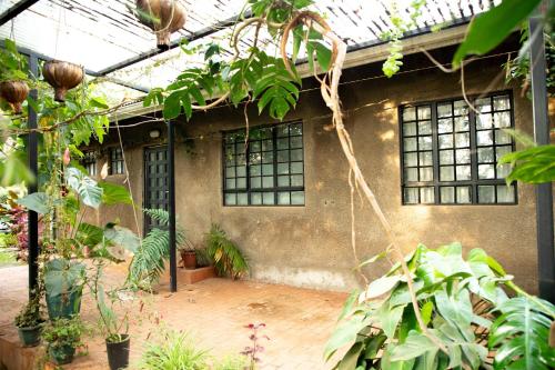 Zafarani House in Busia