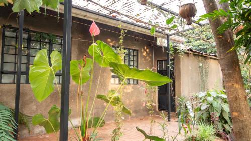 Zafarani House in Busia