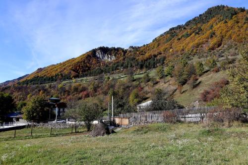 Katos Guesthouse Mestia - Tap to explore photos