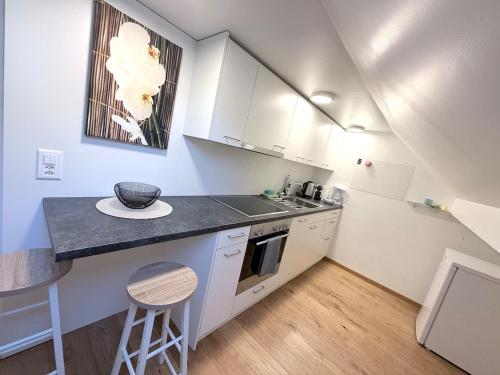 Trewia 9 - Modern Studio Vaduz Center - free Parking in Vaduz