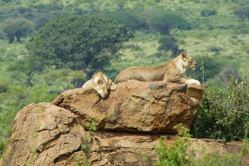 . Tausa Tsavo Eco Lodge