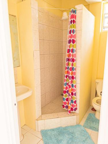 Duncan Apartment Bequia in Port Elizabeth