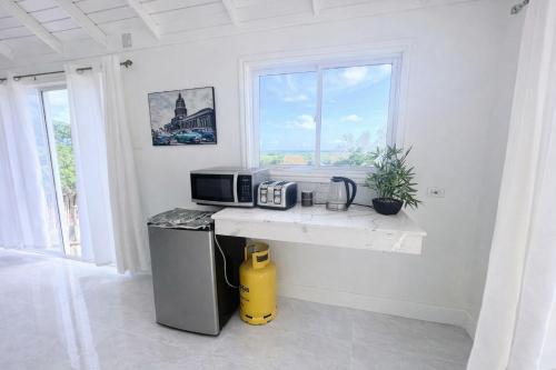 Coastline View Villa with Swim out Pool Treasure Beach in 珍寶海灘