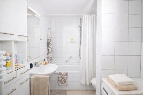 Lo Exclusive Stuttgart - Cozy and central apartment with garden, Stoccarda (foto 8)