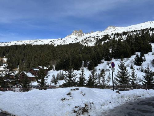 Appartement cosy avec balcon, pieds des pistes, Wi-Fi, animaux acceptés - Méribel - FR-1-355-192 (Appartement cosy avec balcon, pieds des pistes, Wi-Fi, animaux acceptes - Meribel - FR-1-355-192) in Мерибел