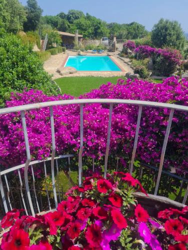 Villa Paradiso con Piscina - Santa Teresa Gallura