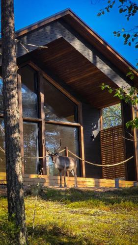 Villa Martta, Ylläs, Lapland Hideaway Near Trails, Экясломполо